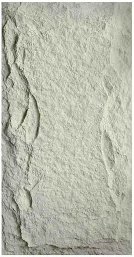 PU-007