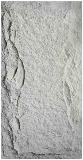PU-008