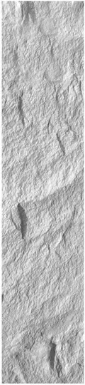 PU-317